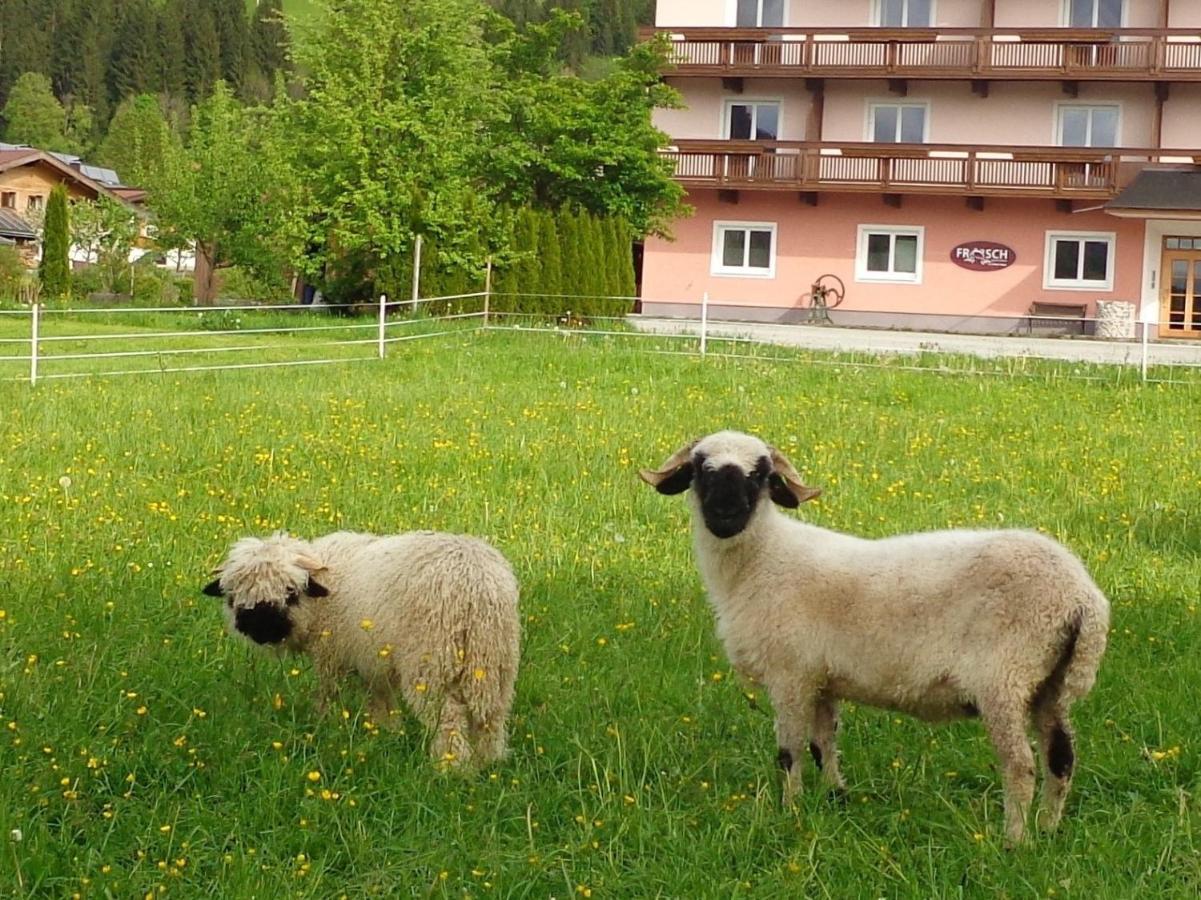 Hinterlechnerhof Hotel Westendorf Eksteriør billede